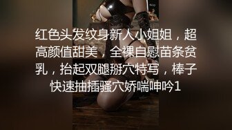 红色头发纹身新人小姐姐，超高颜值甜美，全裸自慰苗条贫乳，抬起双腿掰穴特写，棒子快速抽插骚穴娇喘呻吟1