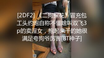 [2DF2] 《二狗探花》冒充包工头约炮自称不懂啥叫双飞3p的卖淫女，抱起来干的她很满足夸狗爷厉害[BT种子]