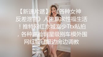 精彩首场，极品美乳小少妇，漂亮温柔健谈，沙发上舔穴抱插观音坐莲