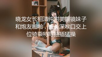 XKGA041 星空无限传媒 垂涎已久的美女室友 梅子