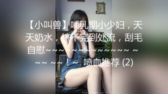 三个野性时尚人妖玩起3P大战吊带内衣性感诱惑前舔鸡巴后插入屁眼啪啪刺激