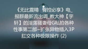 推特新人极品长腿苗条烧婊子【橙子橙子】VIP福利私拍，扩肛道具疯狂紫薇高潮喷水，特写镜头视觉盛宴 (4)