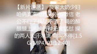 FC2-PPV-3166743 超值人气作品♪第3弹收录了巨乳人妻和变态姐姐的2部作品！ 包括高质量版本和评论福利