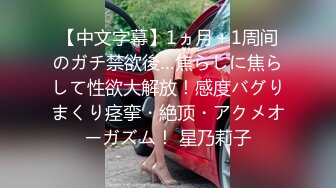 IPZ-390 RQ絲襪美腿 賽車女郎的誘惑性愛 柚木蒂娜[中字高清](無碼破解)