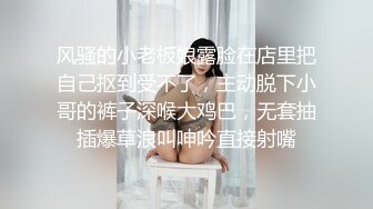 【麻豆传媒】 顺从欲望之夜-姐夫强推出轨乱伦 热门女主 袁子仪