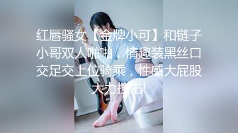 国产麻豆AV MD MD0243 骚女健身联盟 新人女优 岚湘庭 夏晴子